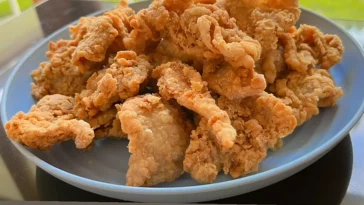 Resep Kulit Ayam Crispy Rendah Kalori, Begini Cara Memasaknya