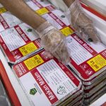 Layanan Katering untuk Jemaah Dihentikan Selama Puncak Haji, Ini Alasannya!