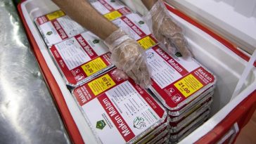 Layanan Katering untuk Jemaah Dihentikan Selama Puncak Haji, Ini Alasannya!