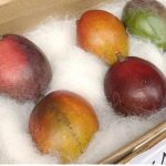 Mangga Termahal di Dunia Asal Jepang Ini Dijual Hampir Rp50 Juta!