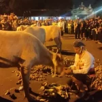 Sejarah Kirab Kebo Bule Malam 1 Suro Keraton Solo, Berawal dari Petunjuk Gaib Paku Buwono II