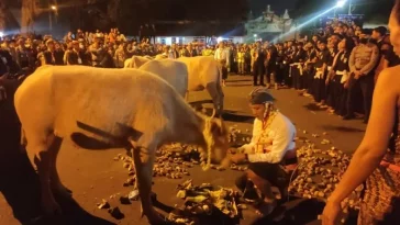 Sejarah Kirab Kebo Bule Malam 1 Suro Keraton Solo, Berawal dari Petunjuk Gaib Paku Buwono II
