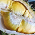 Lima Jenis Durian Terenak dan Populer di Indonesia