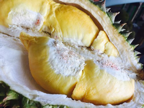 Lima Jenis Durian Terenak dan Populer di Indonesia