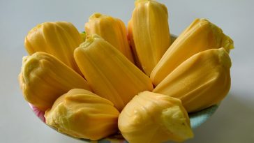 Krisis Ekonomi: Nangka Selamatkan Warga Sri Lanka dari Kelaparan