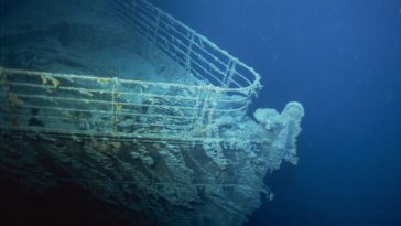 Inilah Deretan Hewan Mengerikan yang Sekarang Jadi Penghuni Titanic