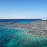 Suhu Lautan Terlalu Panas, Ilmuwan Berencana Pindahkan Terumbu Karang