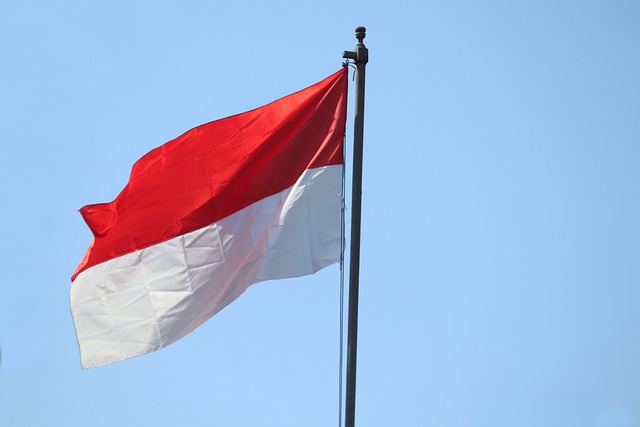 Selain Indonesia, Sederet Bendera Negara Ini Didesain dan Dijahit Oleh Perempuan