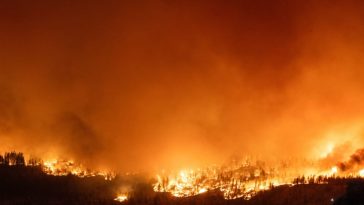 Kebakaran Hutan Kanada, 22.000 Warga Berebut untuk Melarikan Diri