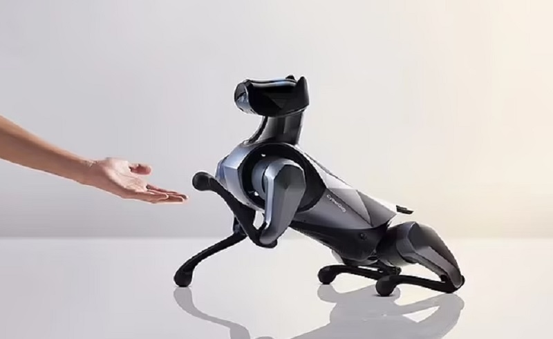 Xiaomi Jual Robot Anjing Seharga Rp27 Jutaan, Bisa Apa Saja?
