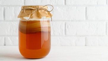 Inilah Resep Mudah Membuat Teh Kombucha di Rumah