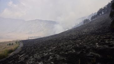Gunung Bromo Terbakar Lagi, Diduga Dipicu Pengunjung Prewedding Nyalakan Flare