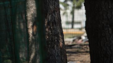 Riset Temukan 1.000 Kasus Pelecehan Seksual di Gereja Katolik Swiss Sejak 1950