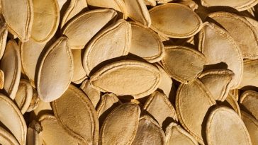 Inilah 5 Manfaat Biji Labu untuk Kesehatan, Turunkan Diabetes hingga Sehatkan Jantung