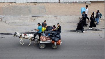 PBB: 80 Ribu Warga Gaza Kehilangan Tempat Tinggal Akibat Serangan Udara Israel