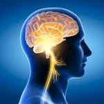 7 Fakta tentang Mati Batang Otak, Fungsi Organ Ditunjang Banyak Alat