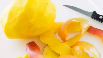 4 Manfaat Kulit Mangga untuk Kesehatan, Apa Saja?