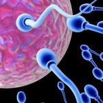 Ingin Menunda Punya Anak dengan Pembekuan Sel Telur, Harus Menyiapkan Apa Saja?