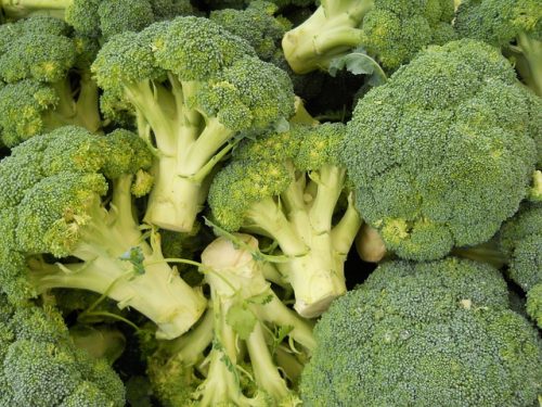Daftar 9 Makanan untuk Menurunkan Asam Urat Tinggi