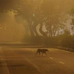 Tiga Kota India Berada di Antara 10 Kota Paling Terpolusi di Dunia setelah Diwali