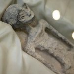 3 Berita Penemuan Alien Paling Viral Sepanjang Tahun 2023