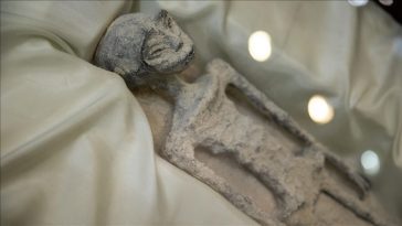 3 Berita Penemuan Alien Paling Viral Sepanjang Tahun 2023