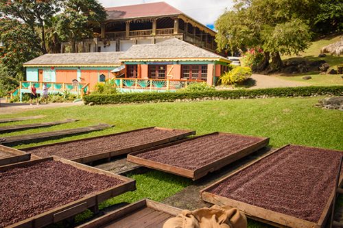 7 Destinasi Menarik untuk Dikunjungi Penggemar Cokelat