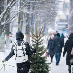 8 Tips Tetap Aman dan Sehat selama Liburan Musim Dingin