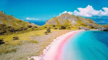 Pink Beach di NTT dan Diamond Beach Bali Masuk Daftar 100 Pantai Terbaik Lonely Planet