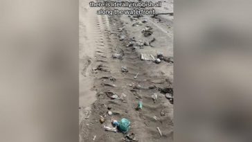 Turis Inggris Ini Mengaku Kecewa dengan Bali karena Jalanan Macet dan Pantai Kuta Kotor