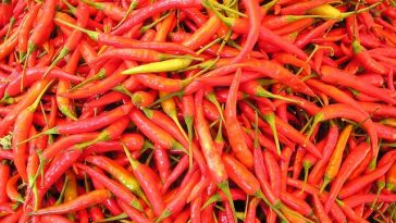 5 Cara Menyimpan Cabai Agar Awet dan Tidak Mudah Busuk