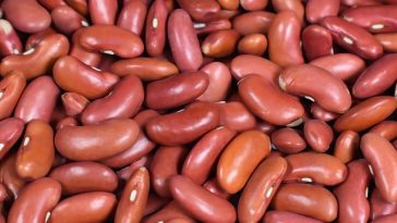 5 Kandungan Nutrisi dan Manfaat Kesehatan dari Kacang Merah