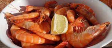 4 Tips Membersihkan Udang agar Tak Bikin Gatal-gatal