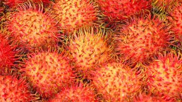 6 Manfaat Buah Rambutan, dari Kesehatan Tulang hingga Kurangi Risiko Batu Ginjal