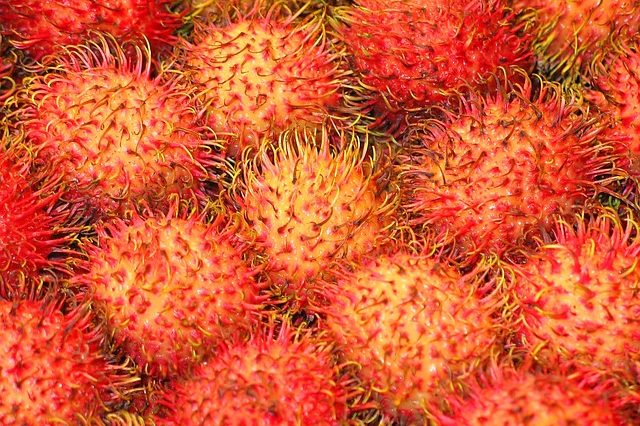 6 Manfaat Buah Rambutan, dari Kesehatan Tulang hingga Kurangi Risiko Batu Ginjal