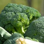 9 Sayuran Ini Nyaris Tak Berkalori, Cocok untuk Diet Sehat!