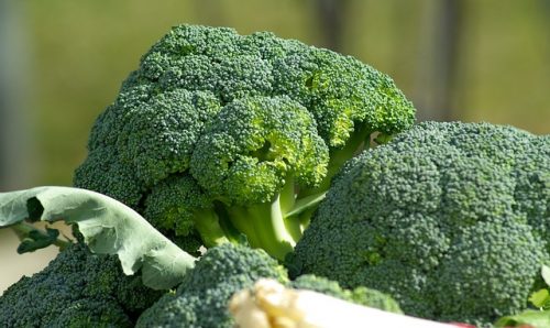 9 Sayuran Ini Nyaris Tak Berkalori, Cocok untuk Diet Sehat!
