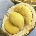 8 Cara Hilangkan Bau Durian yang Melekat di Mulut dan Tangan