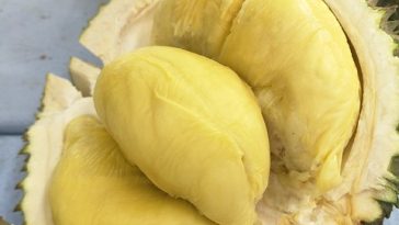 8 Cara Hilangkan Bau Durian yang Melekat di Mulut dan Tangan