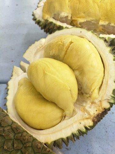 8 Cara Hilangkan Bau Durian yang Melekat di Mulut dan Tangan