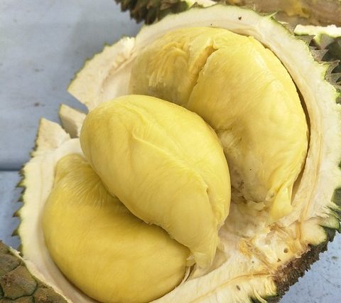 8 Cara Hilangkan Bau Durian yang Melekat di Mulut dan Tangan