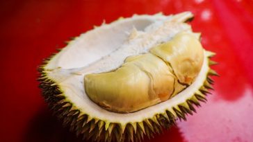 6 Cara Mengatasi Mabuk Durian, Makan Manggis Salah Satunya!