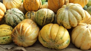 6 Manfaat Blewah untuk Buka Puasa, Hidrasi Tubuh Salah Satunya