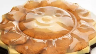 Resep Puding Regal Cokelat, Cocok untuk Hidangan Buka Puasa