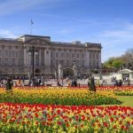 Pengunjung Sebut Istana Buckingham Membosankan, Ini Alasannya
