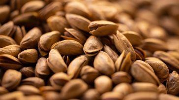 Aman Buat Ngemil, Berikut 6 Kacang Tersehat Menurut Sains