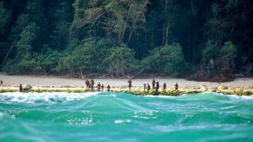 Inilah 8 Suku Terasing di Dunia, Tinggal di Hutan dan Enggan Tersentuh Dunia Luar