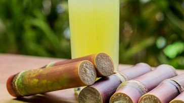 Air Tebu Bisa Berubah Jadi Racun Setelah Disimpan Lama? Simak Penjelasannya