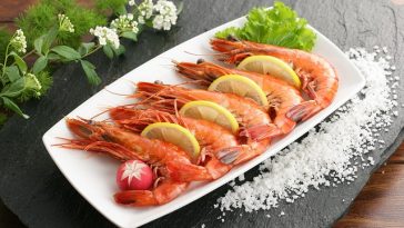udang