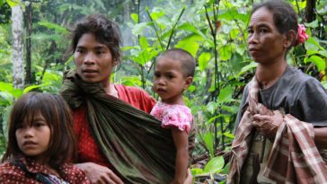 Selain Tobelo Dalam di Halmahera, Berikut 6 Suku Pedalaman yang Ada di Indonesia